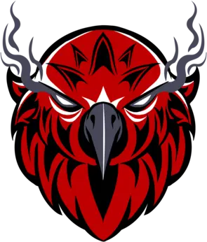 Falcon Network Logo